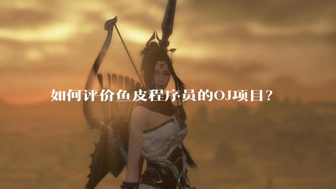 如何评价鱼皮程序员的OJ项目？