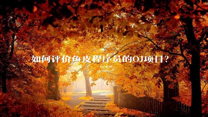 如何评价鱼皮程序员的OJ项目？